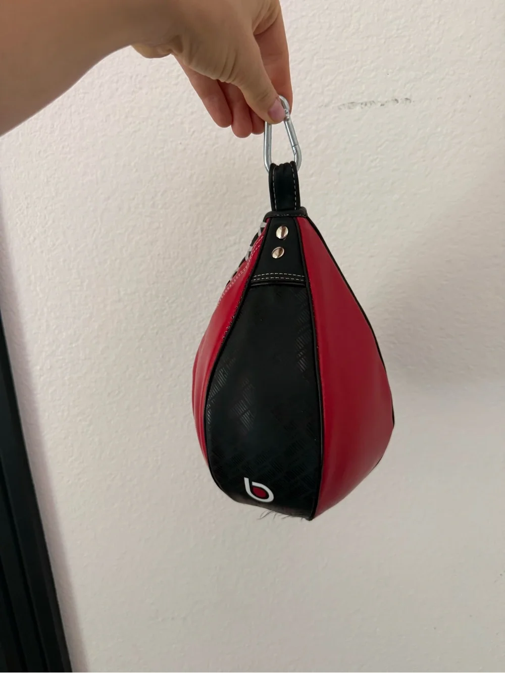 Century Speed bag